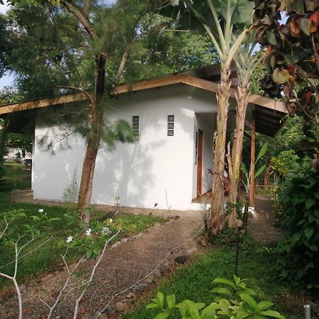 Cabinas Los Tucanes Cahuita Luaran gambar