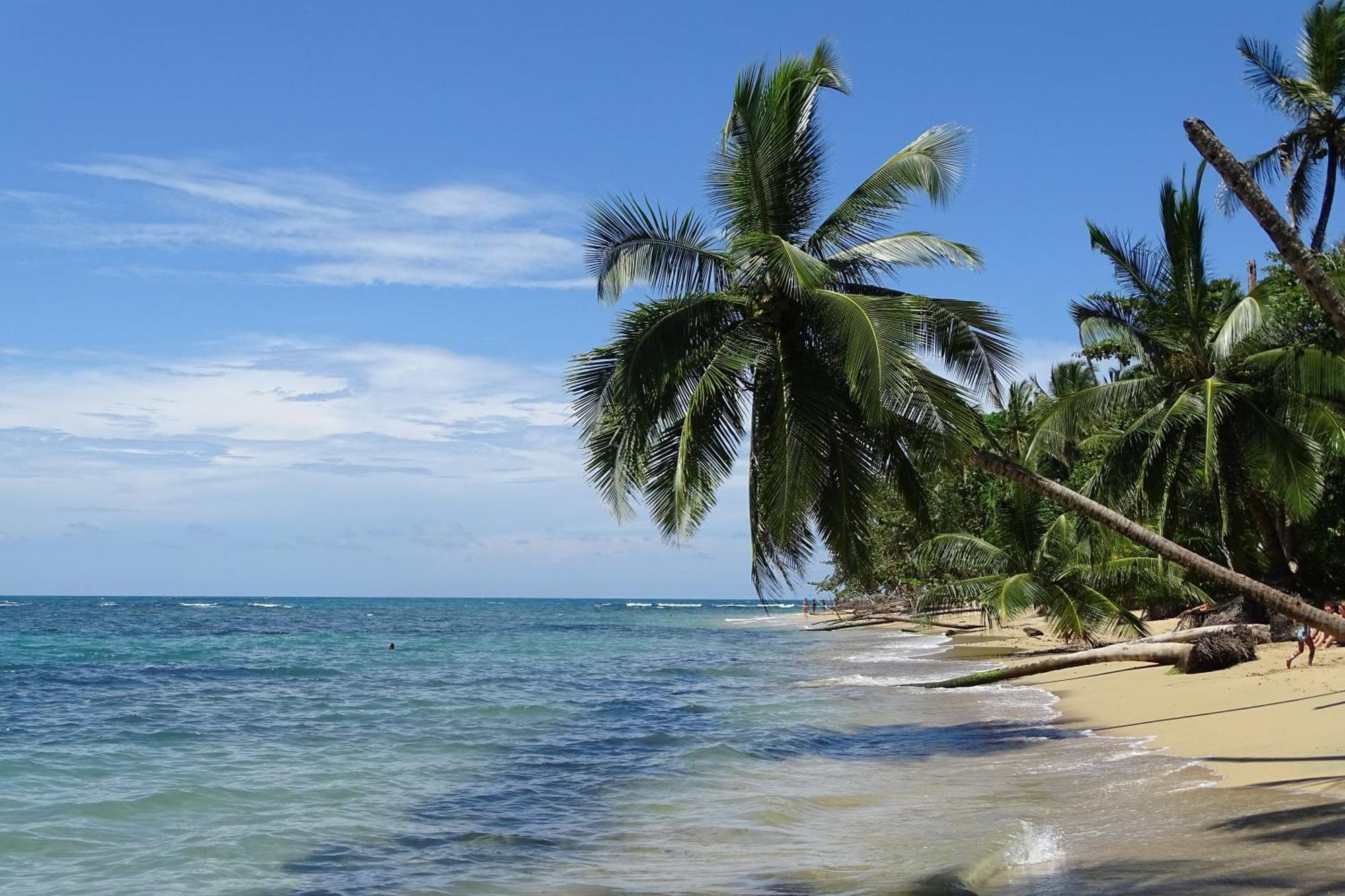 Cabinas Los Tucanes Cahuita Luaran gambar