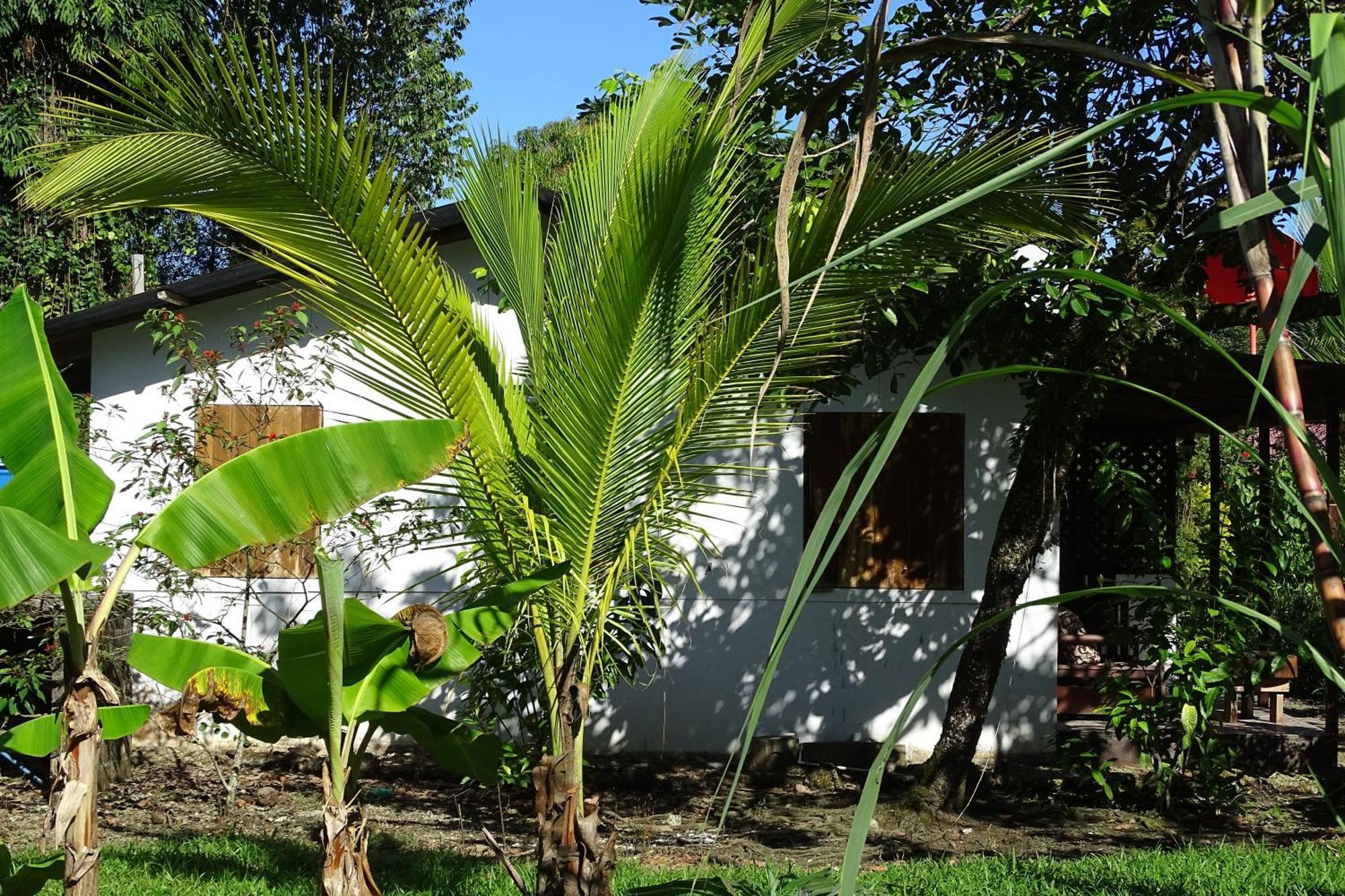Cabinas Los Tucanes Cahuita Luaran gambar