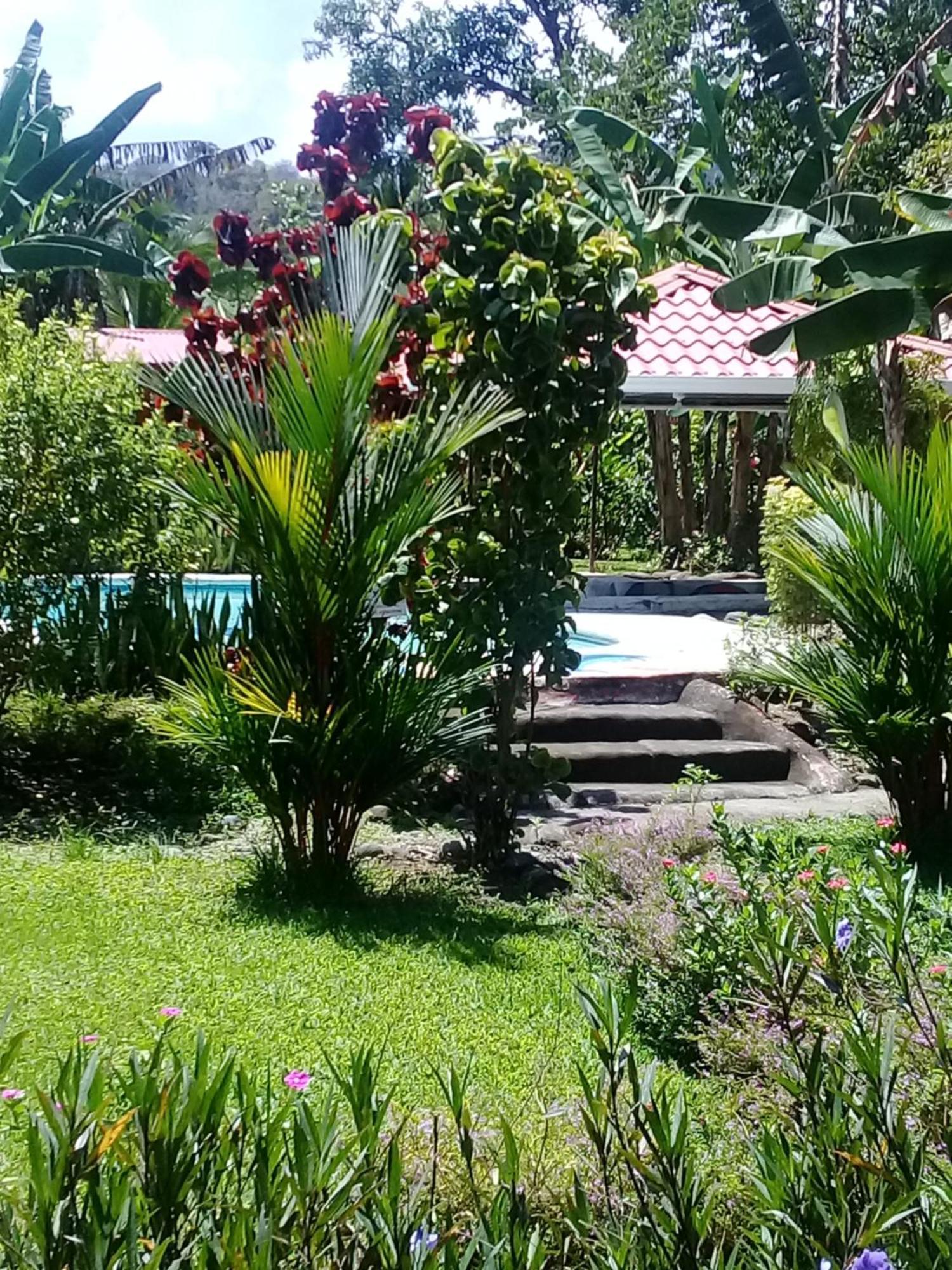 Cabinas Los Tucanes Cahuita Luaran gambar